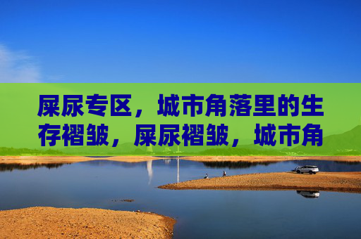 屎尿专区，城市角落里的生存褶皱，屎尿褶皱，城市角落的生存褶皱