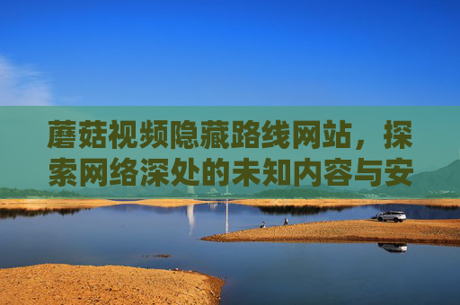 蘑菇视频隐藏路线网站，探索网络深处的未知内容与安全警示，蘑菇视频隐藏路线，网络未知内容探索与安全警示
