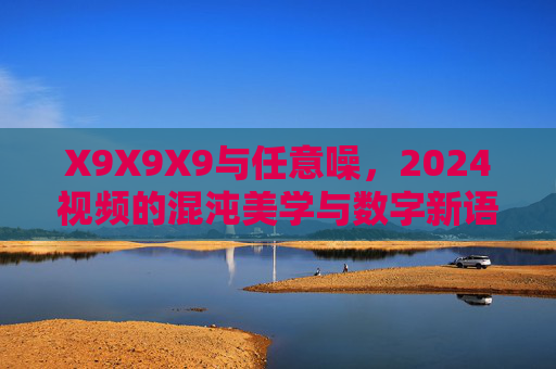 X9X9X9与任意噪，2024视频的混沌美学与数字新语，X9X9X9与任意噪，2024视频的混沌美学与数字新语