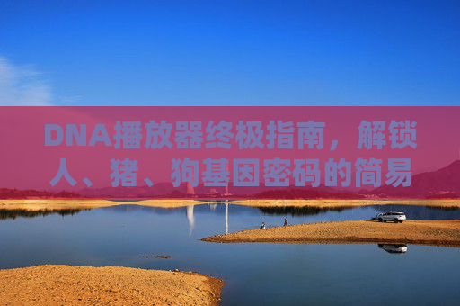DNA播放器终极指南，解锁人、猪、狗基因密码的简易操作手册，DNA播放器简易指南，解锁人猪狗基因密码