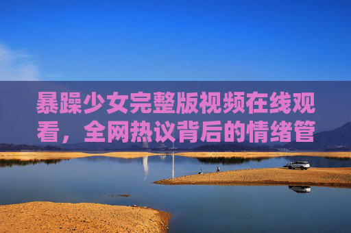 暴躁少女完整版视频在线观看，全网热议背后的情绪管理与网络反思，暴躁少女视频全网热议，情绪管理困境与网络时代反思