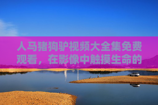 人马猪狗驴视频大全集免费观看，在影像中触摸生命的温度，触摸生命温度，人马猪狗驴视频大全集免费观看
