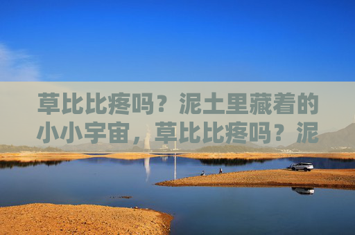 草比比疼吗？泥土里藏着的小小宇宙，草比比疼吗？泥土里的小小宇宙