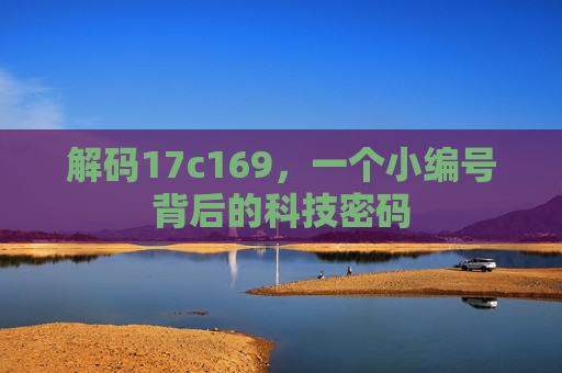 解码17c169，一个小编号背后的科技密码