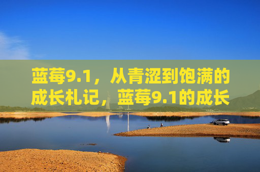 蓝莓9.1，从青涩到饱满的成长札记，蓝莓9.1的成长，从青涩到饱满