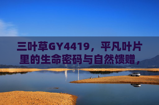 三叶草GY4419，平凡叶片里的生命密码与自然馈赠，三叶草GY4419，平凡叶片里的生命密码与自然馈赠
