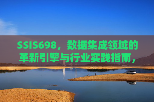 SSIS698，数据集成领域的革新引擎与行业实践指南，SSIS698，数据集成领域的革新引擎与实践指南
