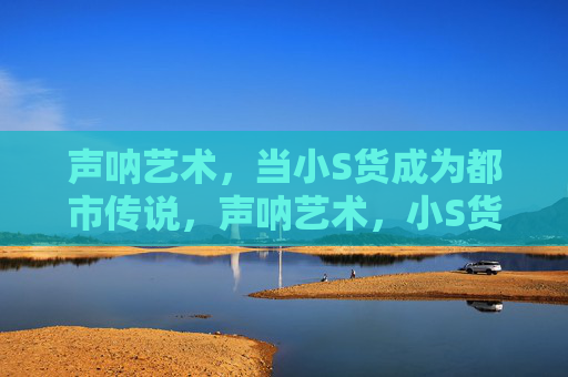 声呐艺术，当小S货成为都市传说，声呐艺术，小S货的都市传说