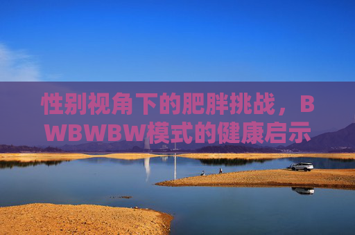 性别视角下的肥胖挑战，BWBWBW模式的健康启示，性别视角，肥胖挑战与BWBWBW模式的健康启示