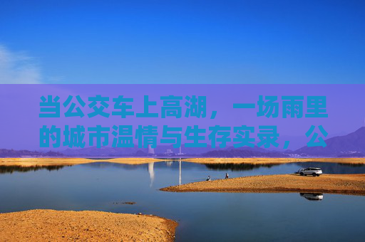 当公交车上高湖，一场雨里的城市温情与生存实录，公交高湖雨夜，城市温情与生存实录