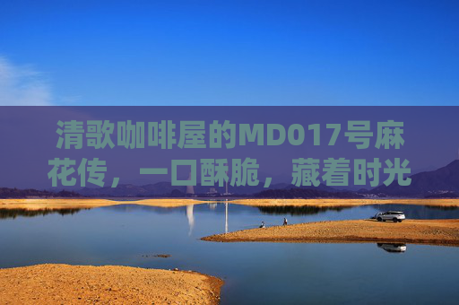 清歌咖啡屋的MD017号麻花传，一口酥脆，藏着时光的清与歌，清歌咖啡屋MD017麻花，一口酥脆藏时光清歌