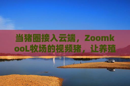 当猪圈接入云端，ZoomkooL牧场的视频猪，让养殖从此看得见，云端视频猪，养殖看得见