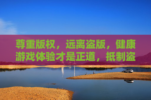 尊重版权，远离盗版，健康游戏体验才是正道，抵制盗版，健康游戏体验才是正道