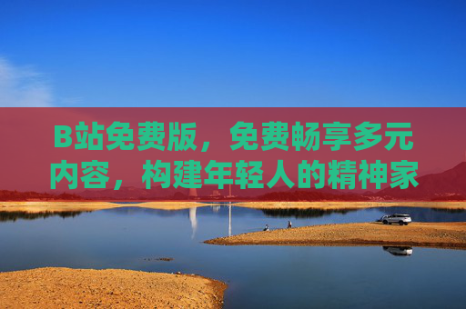 B站免费版，免费畅享多元内容，构建年轻人的精神家园，B站免费版，多元内容筑就年轻人精神家园