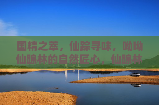 国精之萃，仙踪寻味，呦呦仙踪林的自然匠心，仙踪林·自然匠心寻味