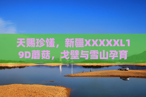 天赐珍馐，新疆XXXXXL19D蘑菇，戈壁与雪山孕育的自然馈赠，戈壁雪山孕育的天赐珍馐，新疆XXXXXL19D蘑菇