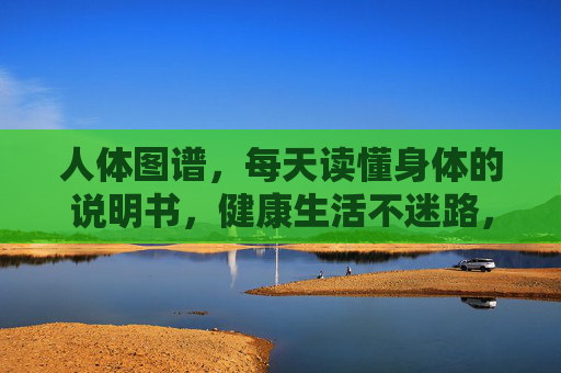 人体图谱，每天读懂身体的说明书，健康生活不迷路，人体图谱，读懂身体说明书，健康生活不迷路