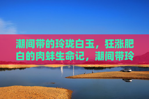 潮间带的玲珑白玉，狂涨肥白的肉蚌生命记，潮间带玲珑白玉肉蚌的生命狂涨记