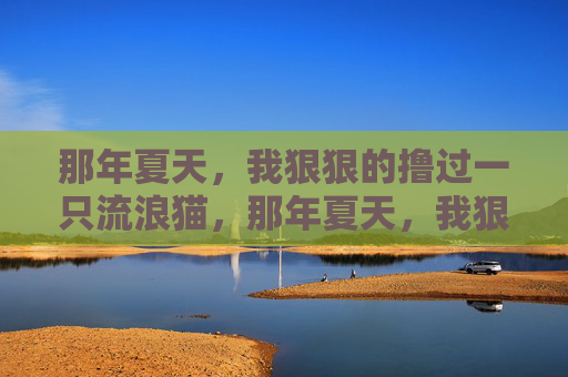 那年夏天，我狠狠的撸过一只流浪猫，那年夏天，我狠狠撸过一只流浪猫