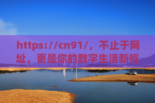 https://cn91/，不止于网址，更是你的数字生活新枢纽，cn91，数字生活新枢纽