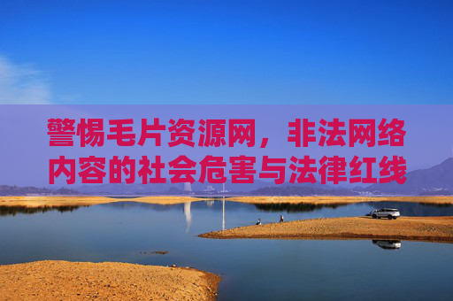 警惕毛片资源网，非法网络内容的社会危害与法律红线