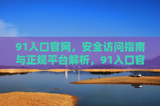 91入口官网，安全访问指南与正规平台解析，91入口官网，安全访问指南与正规平台解析