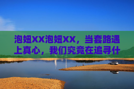 泡妞XX泡妞XX，当套路遇上真心，我们究竟在追寻什么？套路遇真心，我们在追寻什么？