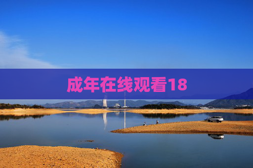 成年在线观看18