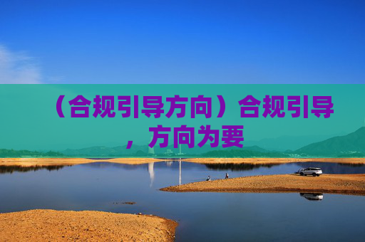 （合规引导方向）合规引导，方向为要