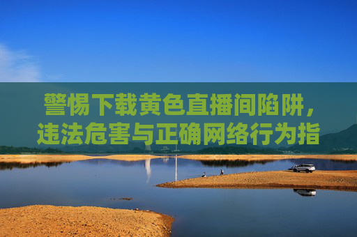 警惕下载黄色直播间陷阱，违法危害与正确网络行为指南，警惕黄色直播间下载陷阱，违法危害与正确网络行为指南