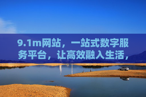 9.1m网站，一站式数字服务平台，让高效融入生活，1m，一站式数字服务平台，高效融入生活