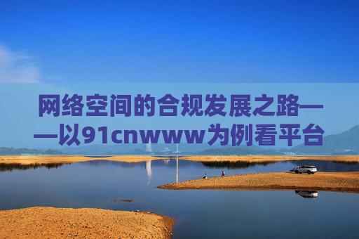 网络空间的合规发展之路——以91cnwww为例看平台责任与用户权益，网络空间合规发展之路，91cnwww案例中的平台责任与用户权益