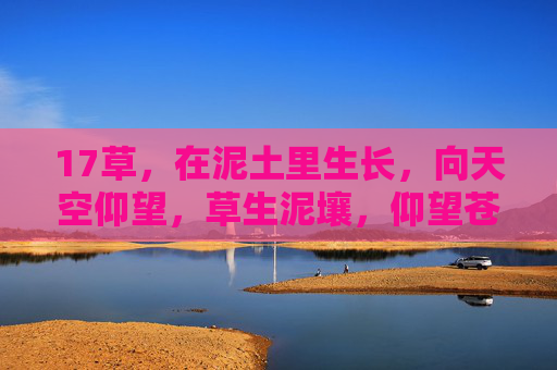 17草，在泥土里生长，向天空仰望，草生泥壤，仰望苍穹