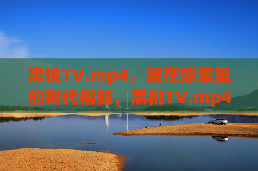 黑桃TV.mp4，藏在像素里的时代褶皱，黑桃TV.mp4，藏在像素里的时代褶皱