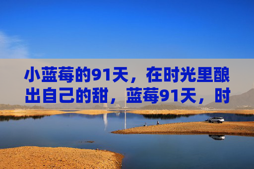 小蓝莓的91天，在时光里酿出自己的甜，蓝莓91天，时光酿出自己的甜