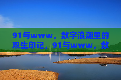 91与www，数字浪潮里的双生印记，91与www，数字浪潮里的双生印记