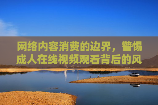 网络内容消费的边界，警惕成人在线视频观看背后的风险与健康引导，消费边界，警惕成人在线视频风险与健康引导