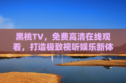 黑桃TV，免费高清在线观看，打造极致视听娱乐新体验，黑桃TV，免费高清极致视听娱乐新体验