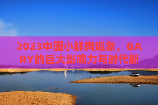 2023中国小鲜肉现象，GARY的巨大影响力与时代新声，2023中国小鲜肉现象，GARY的巨大影响力与时代新声