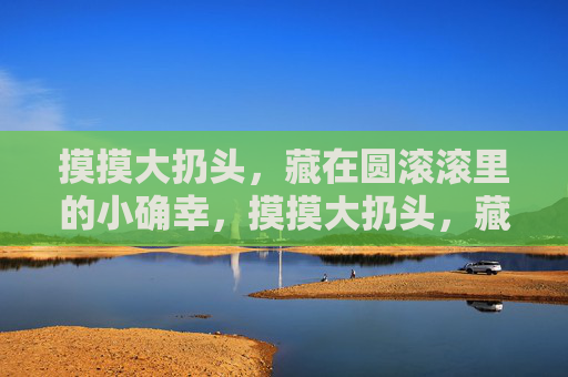 摸摸大扔头，藏在圆滚滚里的小确幸，摸摸大扔头，藏在圆滚滚里的小确幸