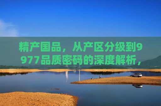 精产国品，从产区分级到9977品质密码的深度解析，精产国品，产区分级与9977品质密码深度解析