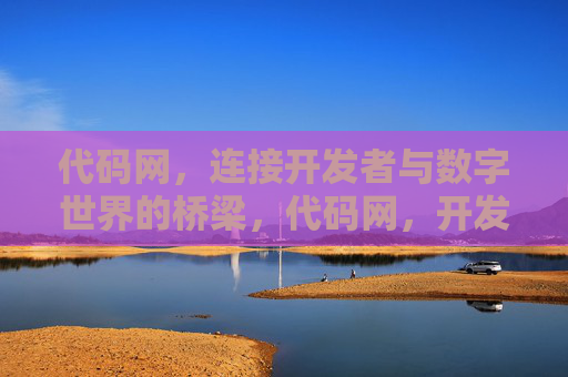 代码网，连接开发者与数字世界的桥梁，代码网，开发者与数字世界的桥梁
