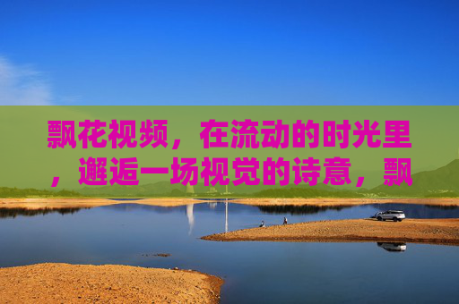 飘花视频，在流动的时光里，邂逅一场视觉的诗意，飘花时光，一场视觉的诗意邂逅