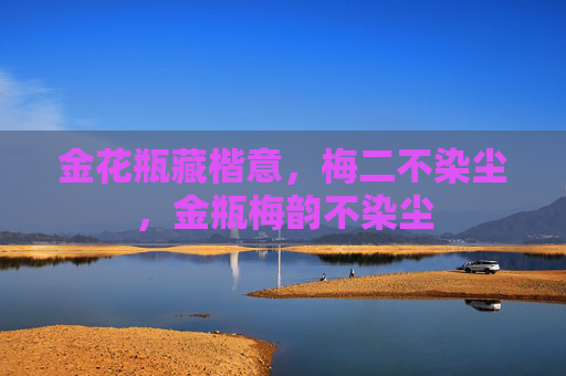 金花瓶藏楷意，梅二不染尘，金瓶梅韵不染尘