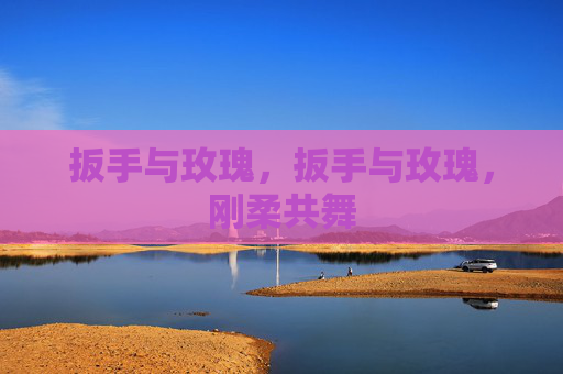 扳手与玫瑰，扳手与玫瑰，刚柔共舞