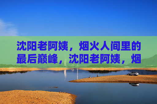 沈阳老阿姨，烟火人间里的最后巅峰，沈阳老阿姨，烟火人间的最后巅峰
