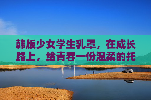 韩版少女学生乳罩，在成长路上，给青春一份温柔的托举，韩版少女学生乳罩，温柔托举成长青春