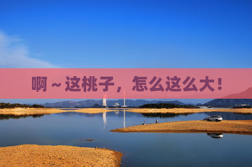 啊～这桃子，怎么这么大！