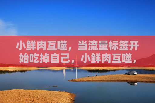 小鲜肉互噬，当流量标签开始吃掉自己，小鲜肉互噬，流量标签的致命反噬