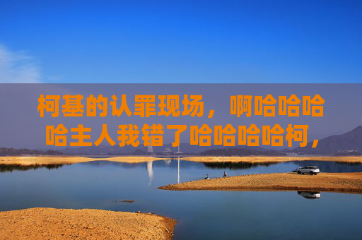 柯基的认罪现场，啊哈哈哈哈主人我错了哈哈哈哈柯，柯基认罪现场，主人我错了！